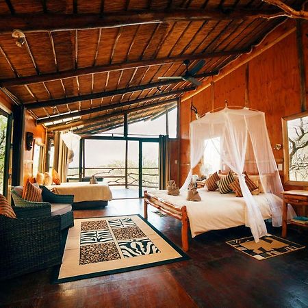 Pezulu Tree House Lodge 호에드스프뤼트 외부 사진