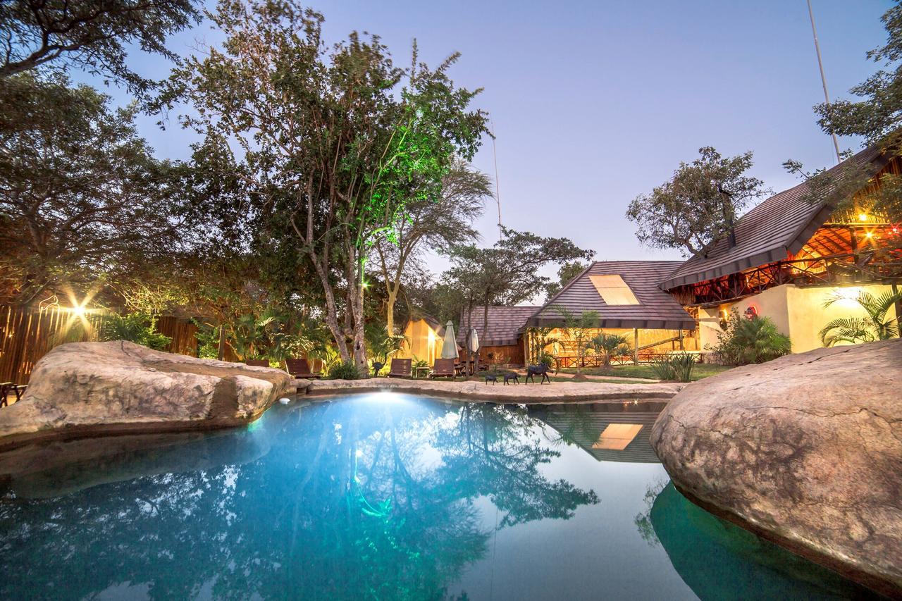 Pezulu Tree House Lodge 호에드스프뤼트 외부 사진
