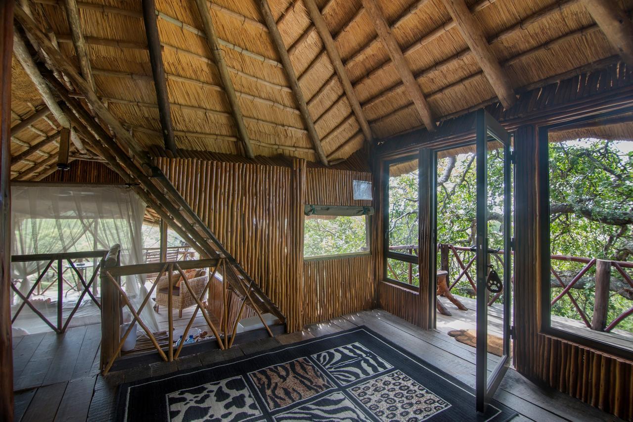 Pezulu Tree House Lodge 호에드스프뤼트 외부 사진