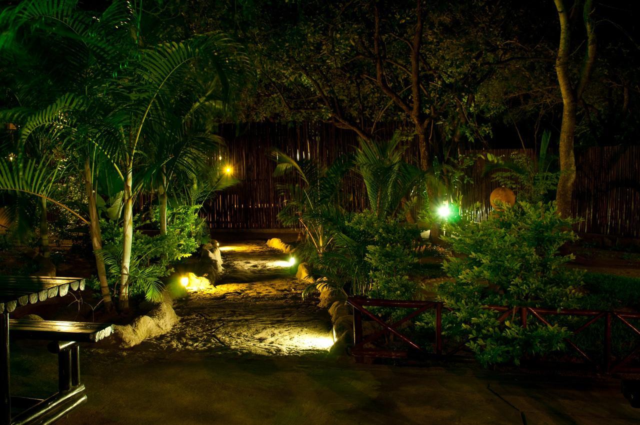 Pezulu Tree House Lodge 호에드스프뤼트 외부 사진