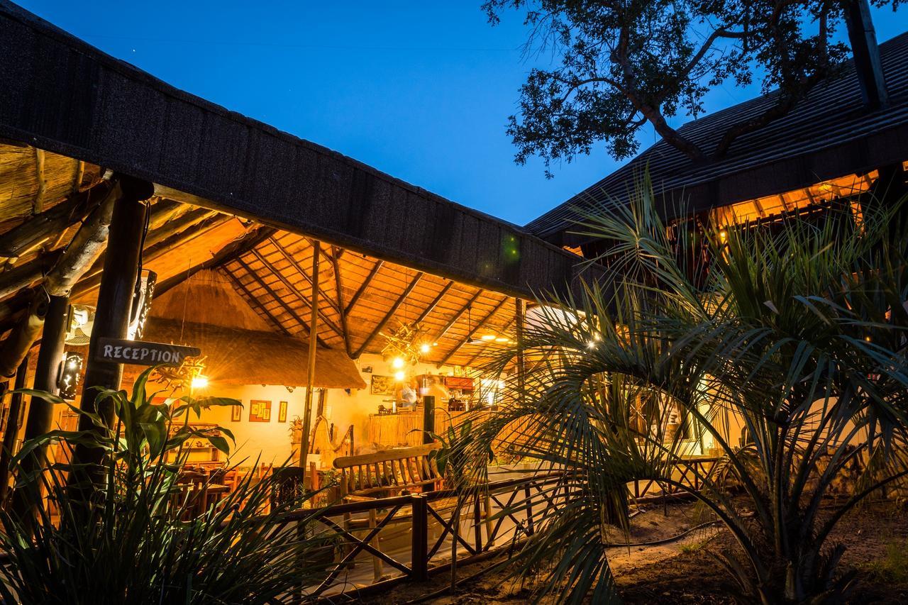 Pezulu Tree House Lodge 호에드스프뤼트 외부 사진