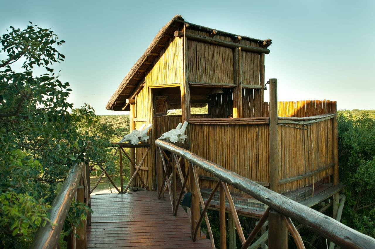 Pezulu Tree House Lodge 호에드스프뤼트 외부 사진