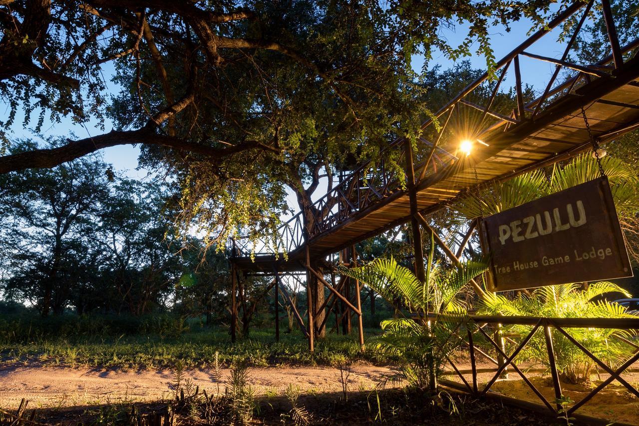 Pezulu Tree House Lodge 호에드스프뤼트 외부 사진