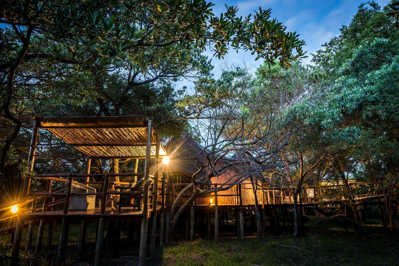 Pezulu Tree House Lodge 호에드스프뤼트 외부 사진