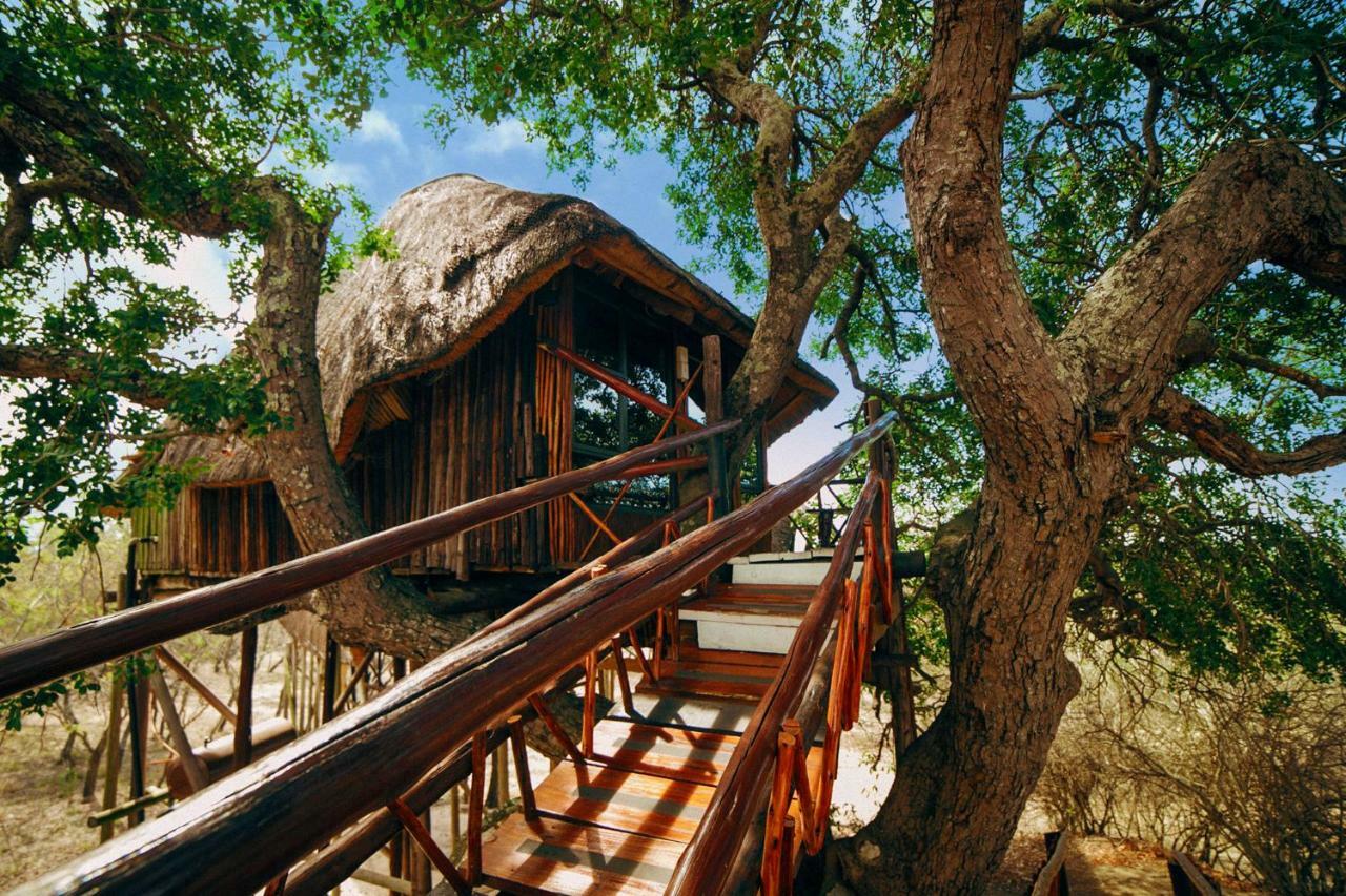 Pezulu Tree House Lodge 호에드스프뤼트 외부 사진