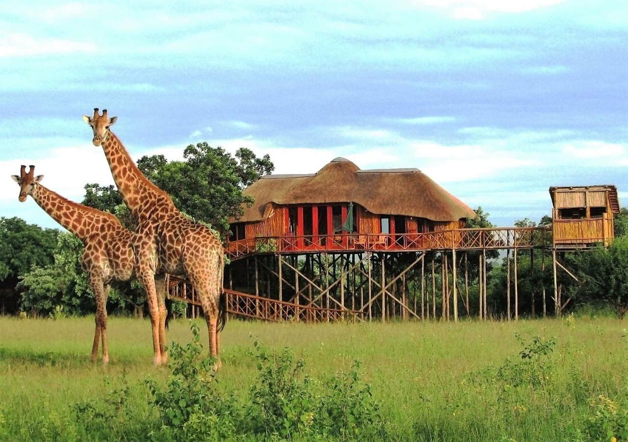 Pezulu Tree House Lodge 호에드스프뤼트 외부 사진