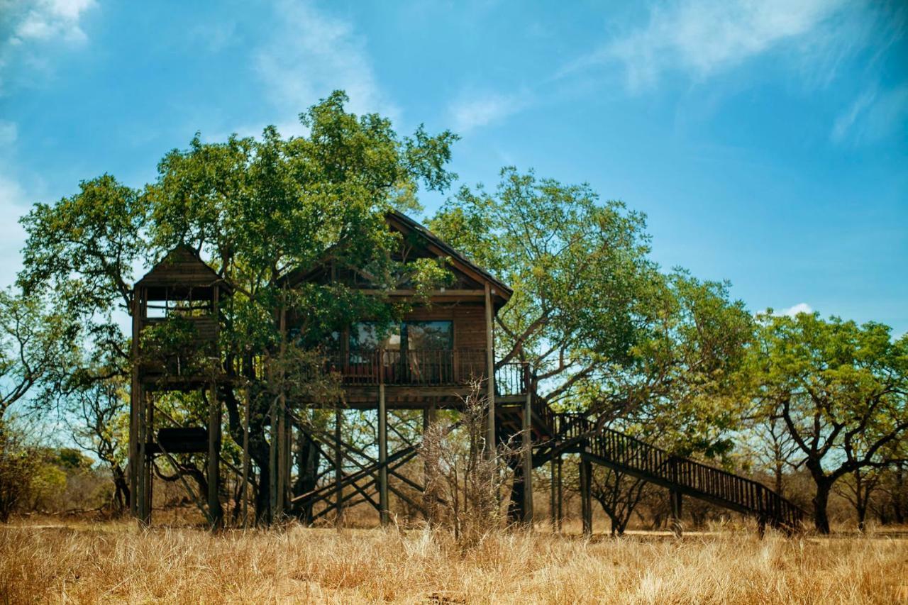 Pezulu Tree House Lodge 호에드스프뤼트 외부 사진