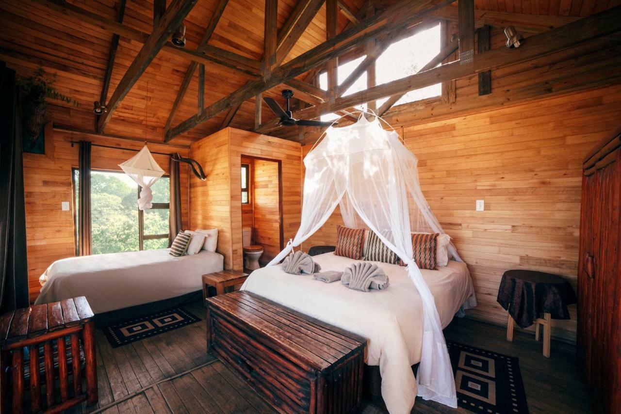 Pezulu Tree House Lodge 호에드스프뤼트 외부 사진