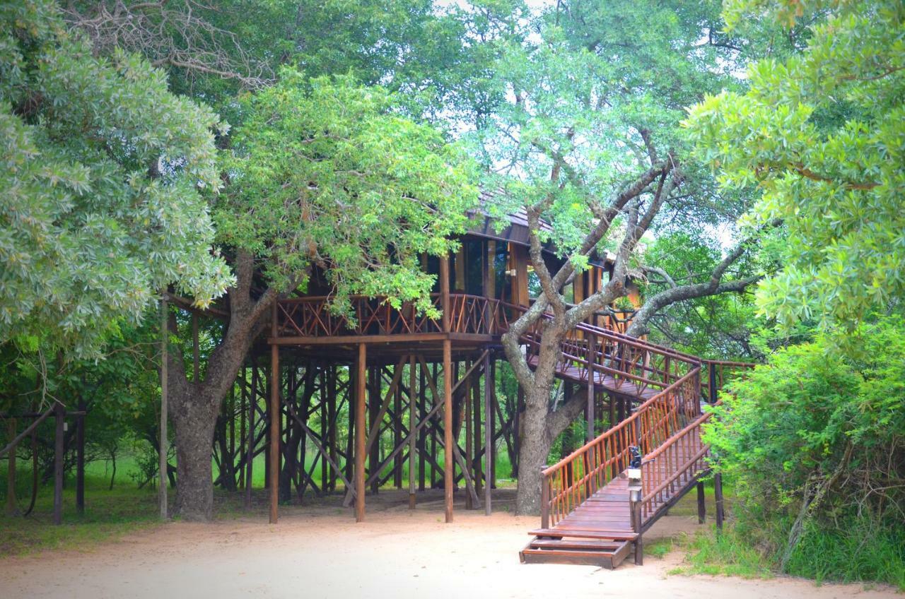 Pezulu Tree House Lodge 호에드스프뤼트 외부 사진