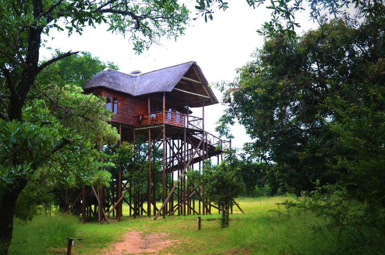 Pezulu Tree House Lodge 호에드스프뤼트 외부 사진