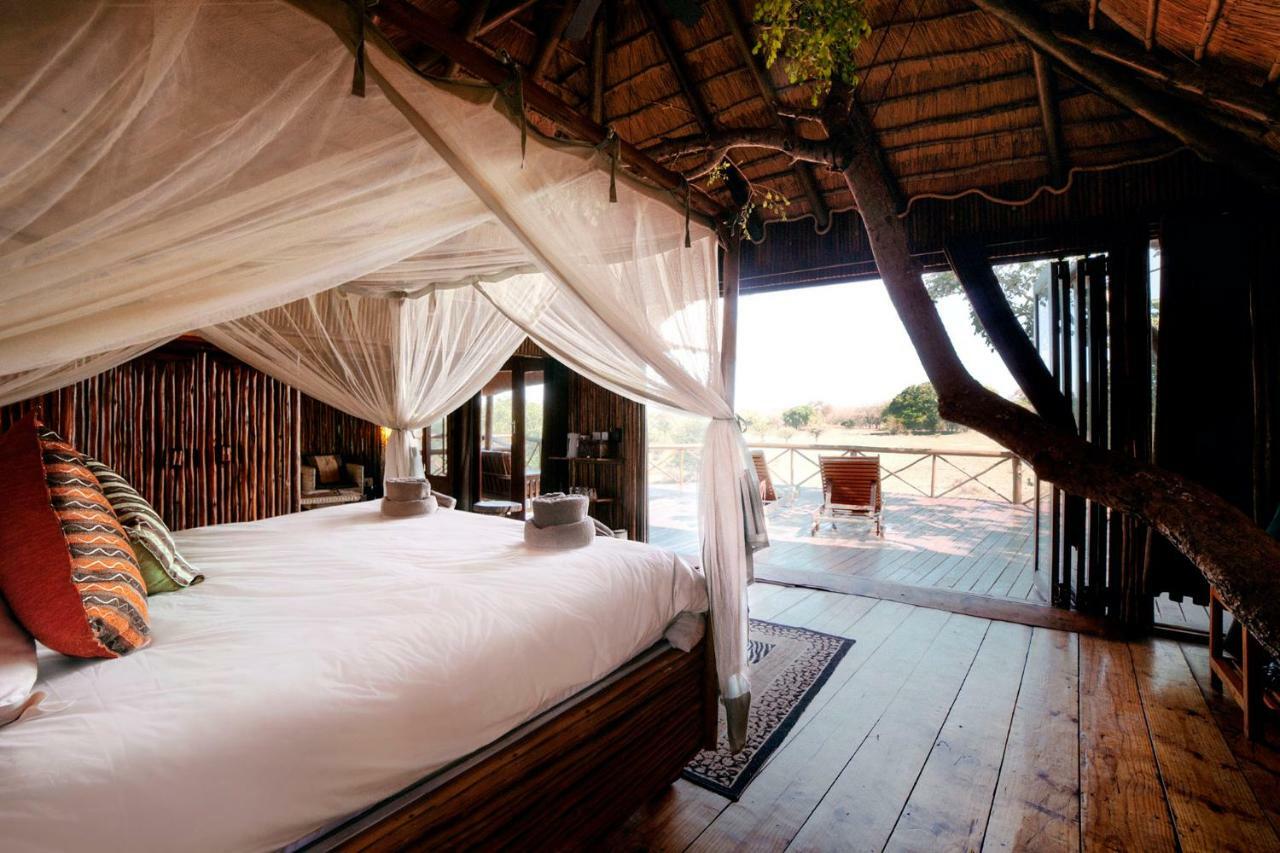 Pezulu Tree House Lodge 호에드스프뤼트 외부 사진