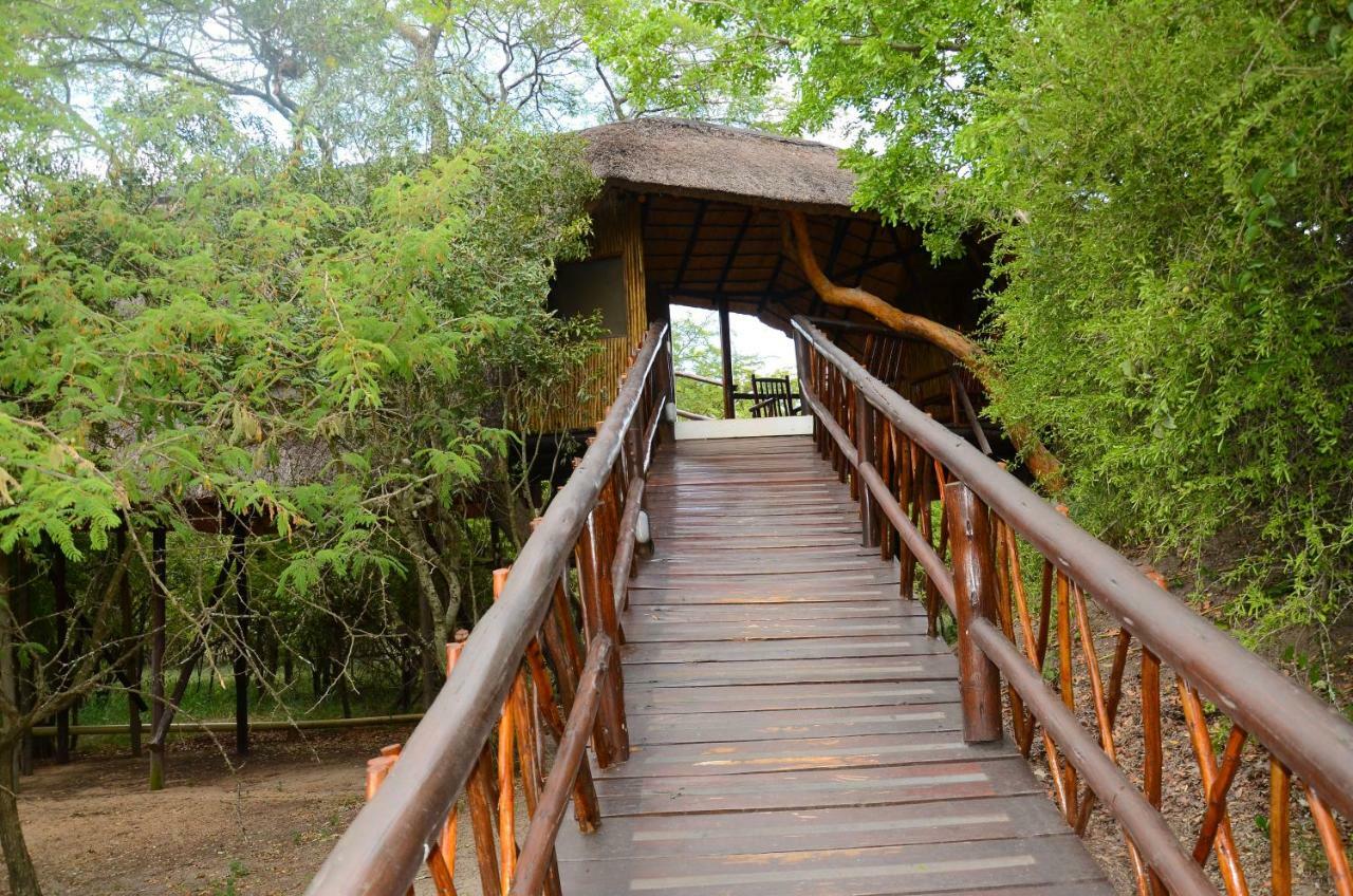 Pezulu Tree House Lodge 호에드스프뤼트 외부 사진