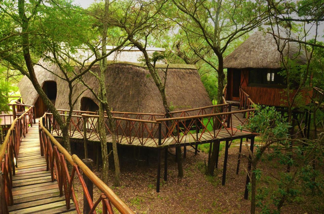 Pezulu Tree House Lodge 호에드스프뤼트 외부 사진