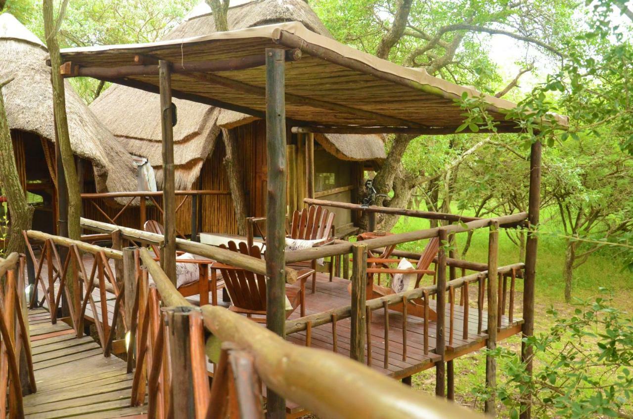 Pezulu Tree House Lodge 호에드스프뤼트 외부 사진