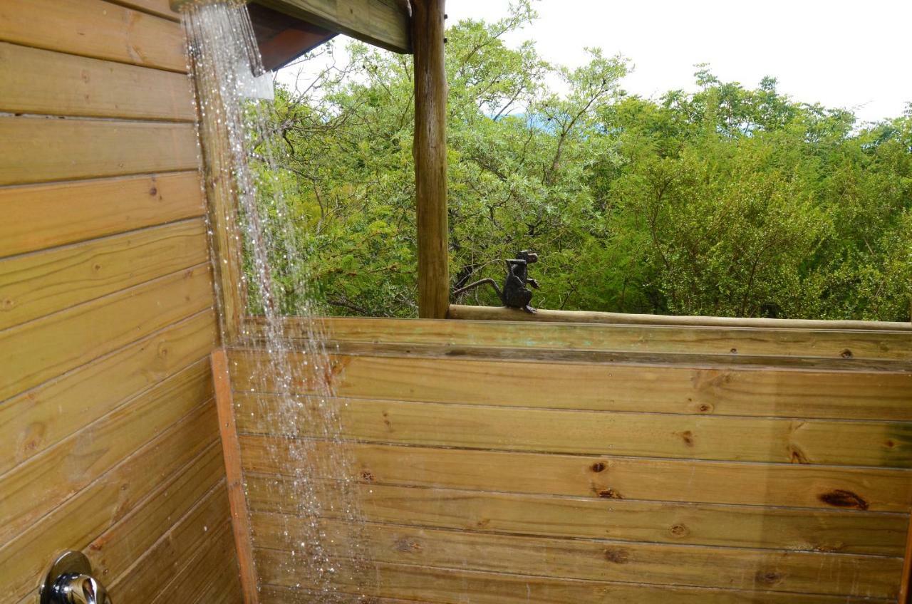 Pezulu Tree House Lodge 호에드스프뤼트 외부 사진