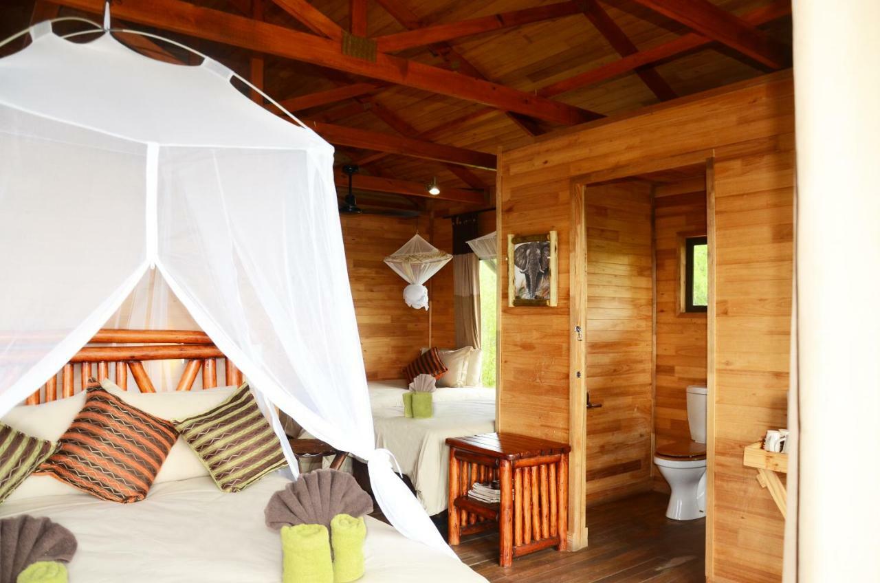 Pezulu Tree House Lodge 호에드스프뤼트 외부 사진