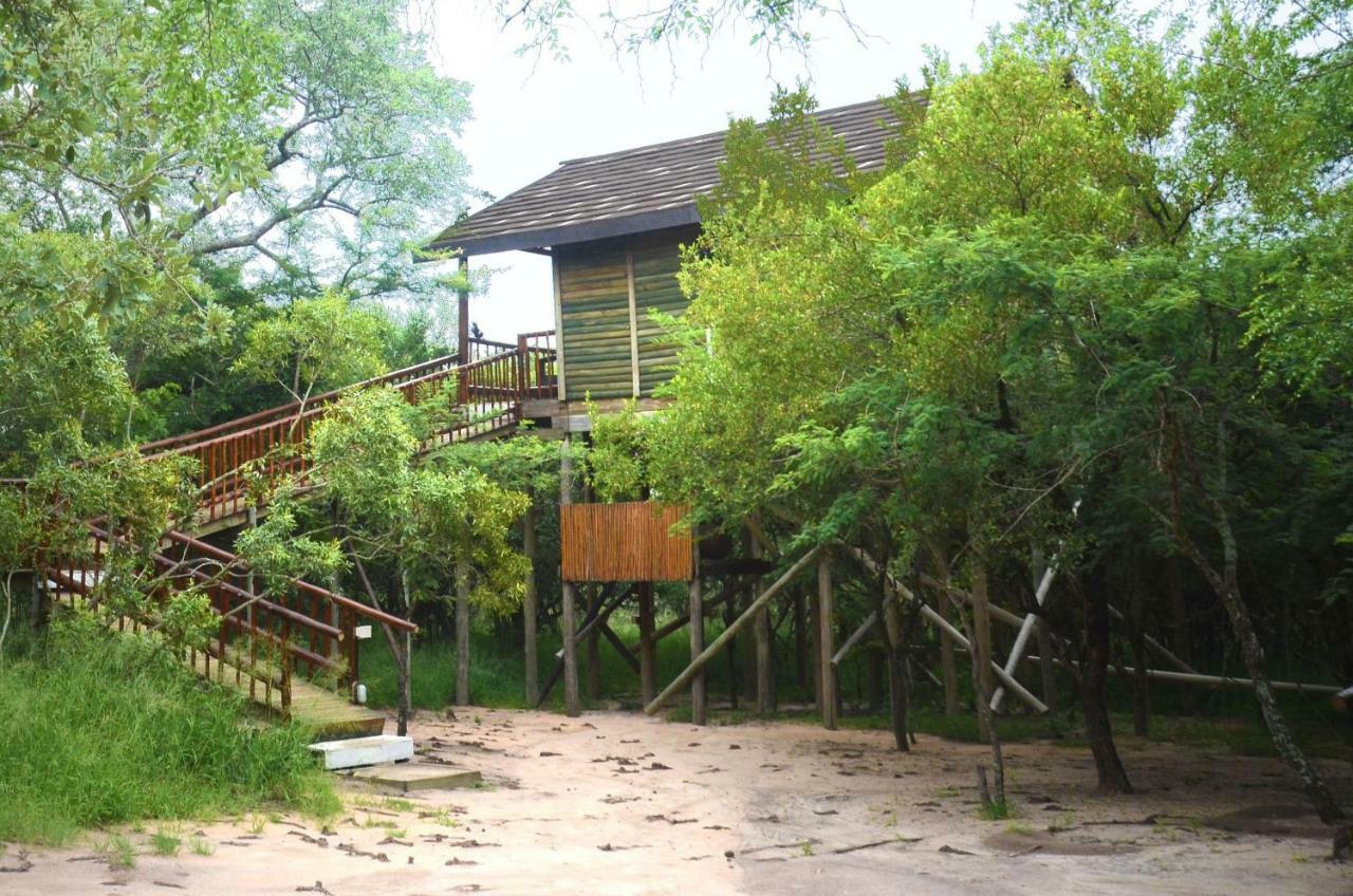Pezulu Tree House Lodge 호에드스프뤼트 외부 사진