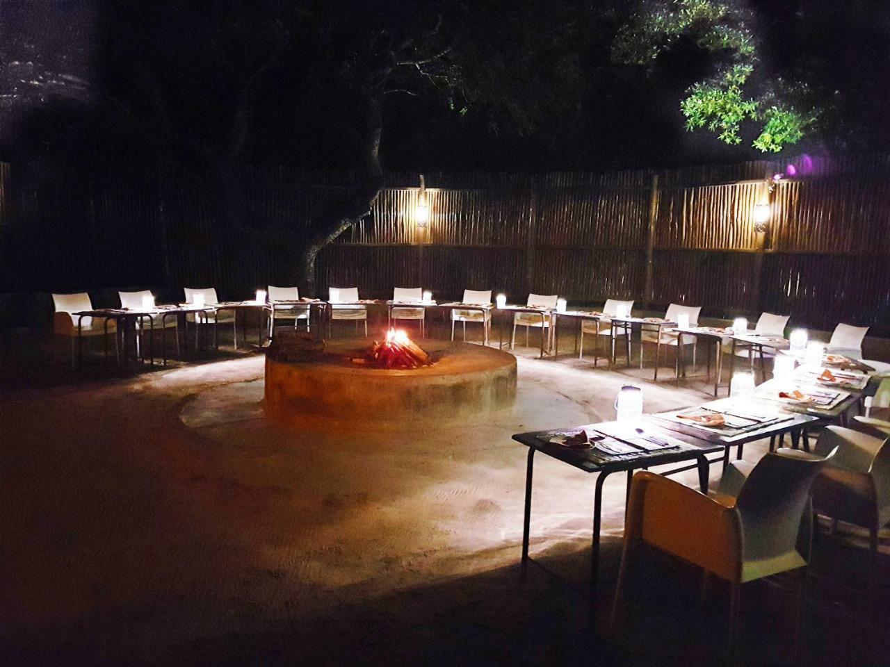 Pezulu Tree House Lodge 호에드스프뤼트 외부 사진