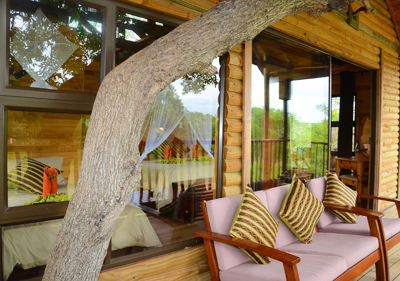 Pezulu Tree House Lodge 호에드스프뤼트 외부 사진