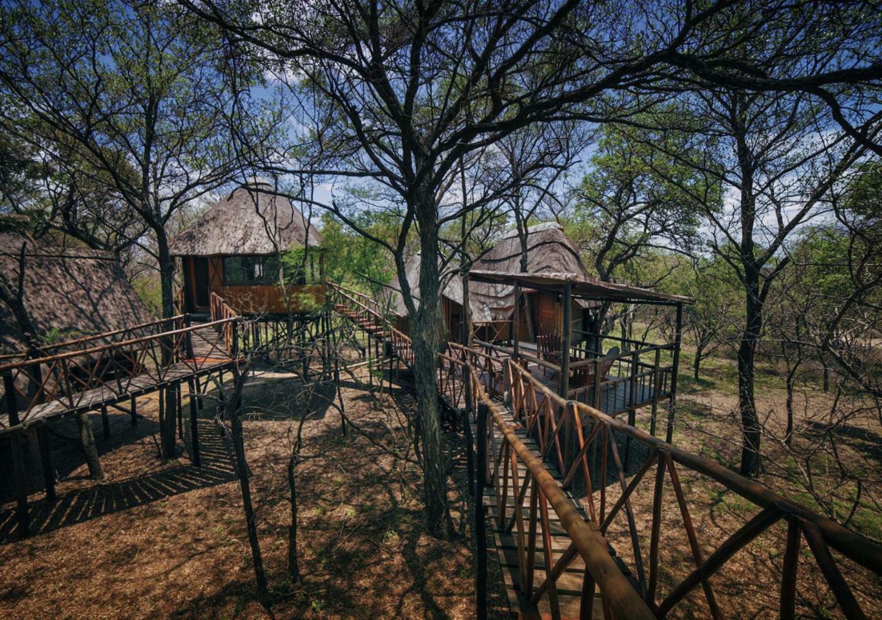 Pezulu Tree House Lodge 호에드스프뤼트 외부 사진