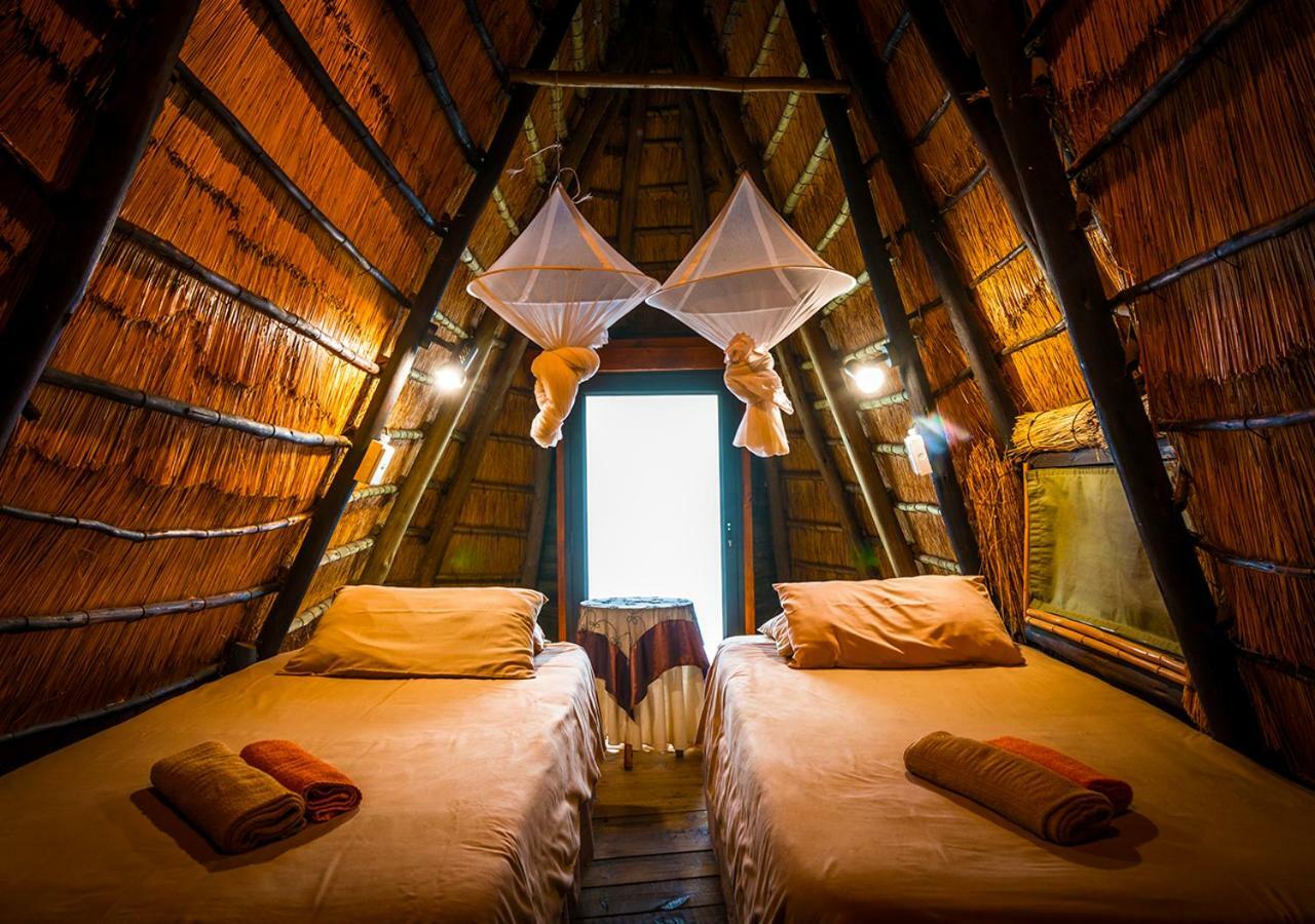 Pezulu Tree House Lodge 호에드스프뤼트 외부 사진