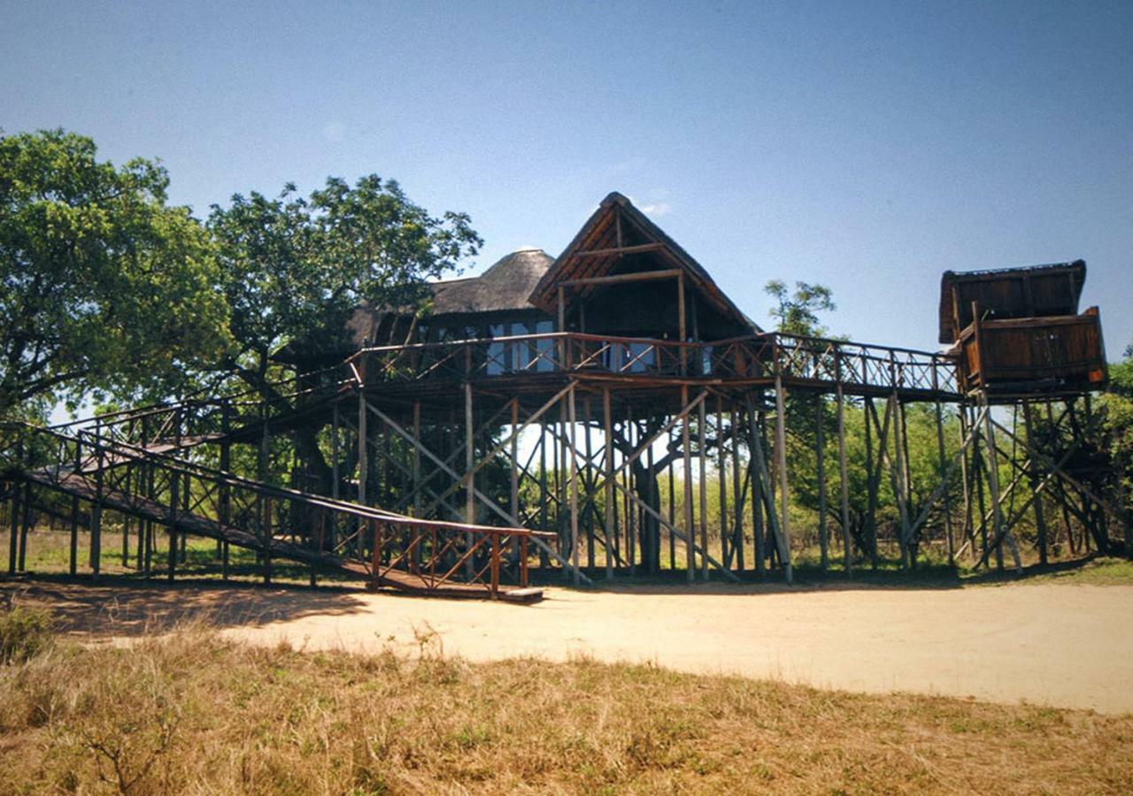 Pezulu Tree House Lodge 호에드스프뤼트 외부 사진