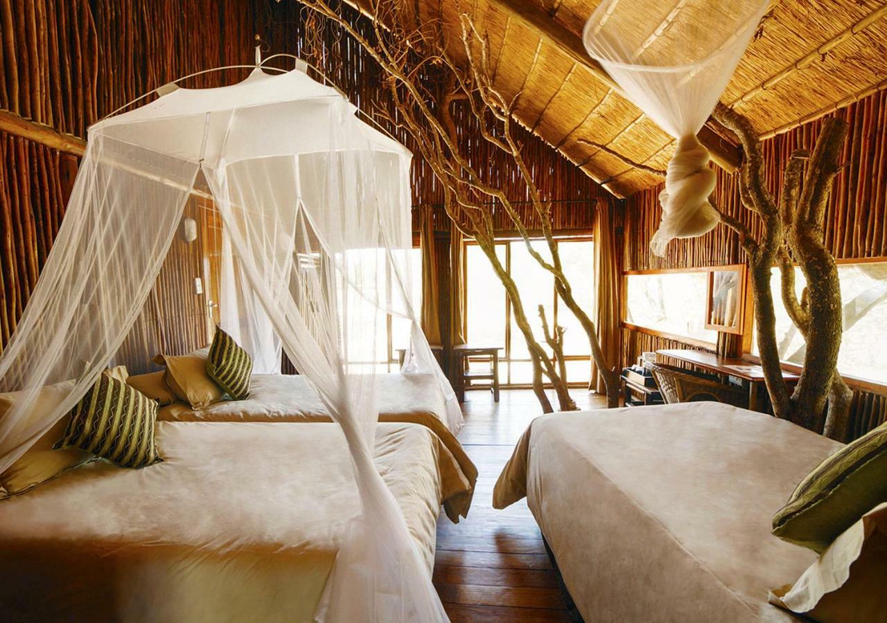 Pezulu Tree House Lodge 호에드스프뤼트 외부 사진